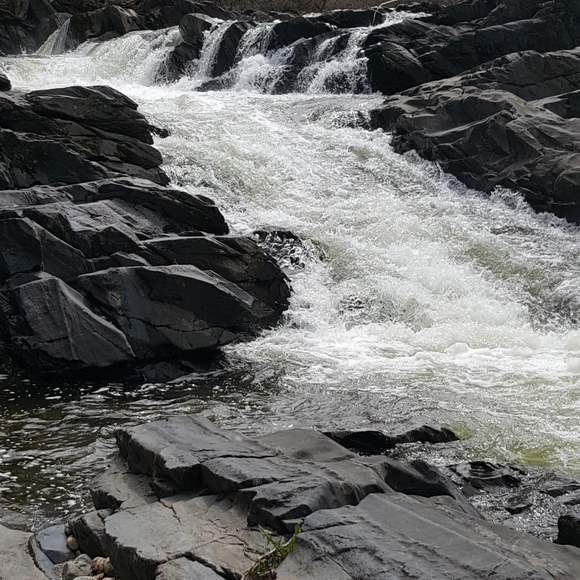 Meet your Posher, John - Picture 2 of 3